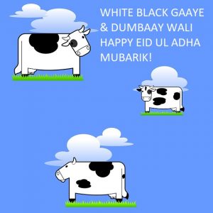 Funny Eid Mubarak Jokes Messages